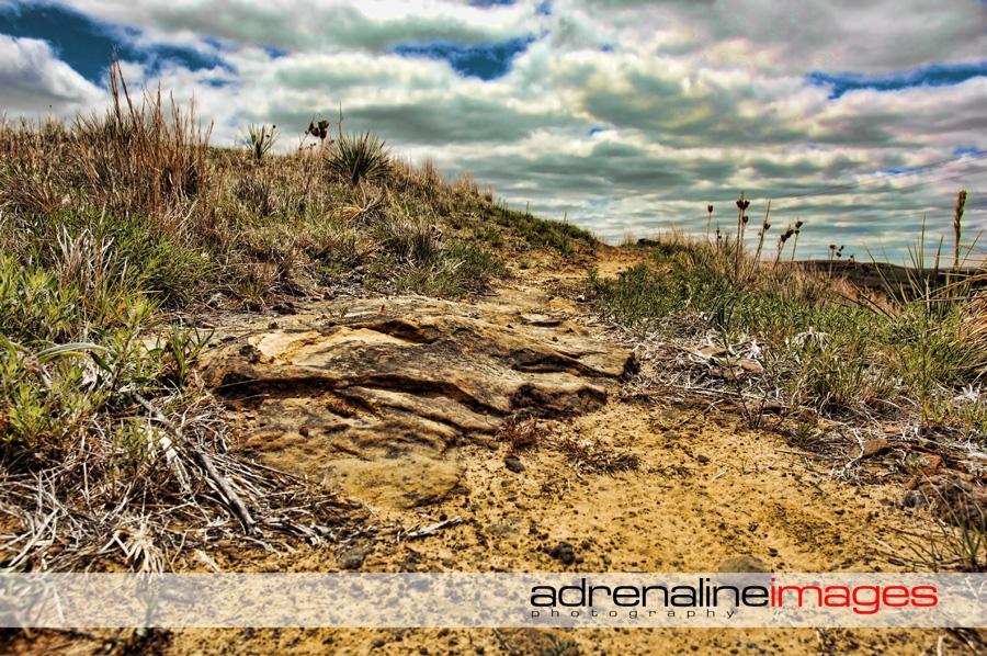 Alt tag: A rocky dirt path winding through tall grass and shrubs under a partly cloudy sky, with rolling hills in the background. Switchgrass mountain bike trail.