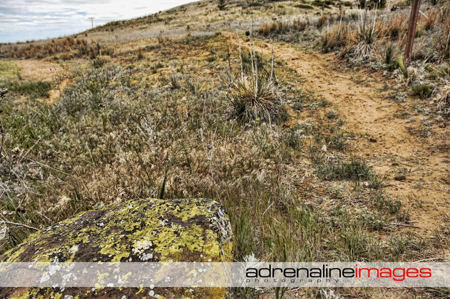 A rocky outcrop covered in green and yellow lichen sits in the foreground, with a dirt path leading through a grassy field in the background. Sparse vegetation and dry grasses surround the area, under a partly cloudy sky. Switchgrass mountain bike trail.