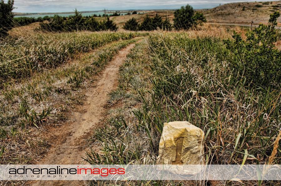 A dirt path lined with tall grass and shrubs, leading through a natural landscape. A large, weathered stone marker with a carved symbol stands on the side of the trail, with rolling hills and a cloudy sky visible in the background. Switchgrass mountain bike trail.