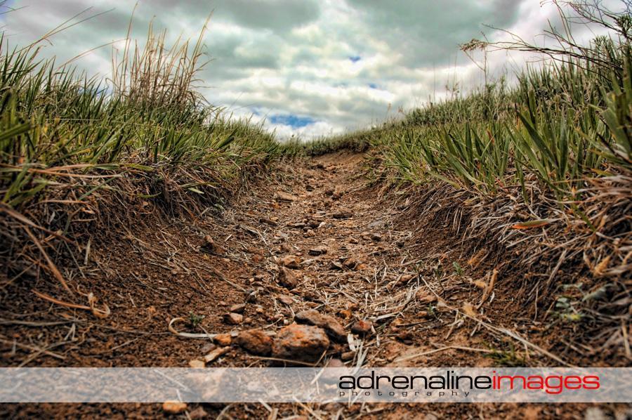 A low-angle view of a dirt path surrounded by grass and stones, with a cloudy sky in the background. The image captures the texture of the ground and the greenery along the sides of the trail. Switchgrass mountain bike trail.