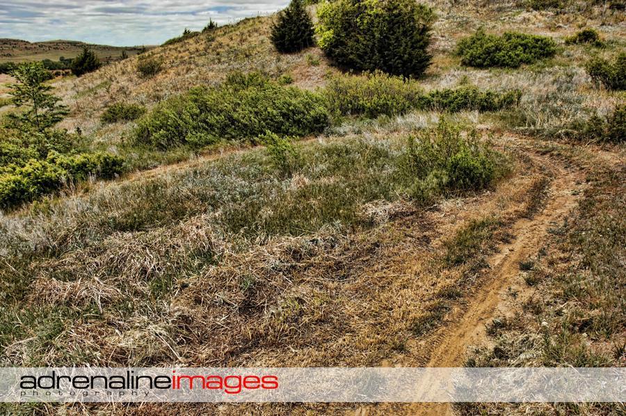 A winding dirt path leads through a hilly landscape, bordered by patches of green shrubs and dry grass. The scene captures a serene outdoor environment with rolling hills and a cloudy sky. Switchgrass mountain bike trail.