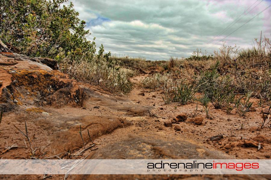 A rocky path winding through a dry, open landscape, surrounded by sparse vegetation and grassy patches under a cloudy sky. The foreground features textured rocks and sandy soil, creating a rugged outdoor scene. Switchgrass mountain bike trail.