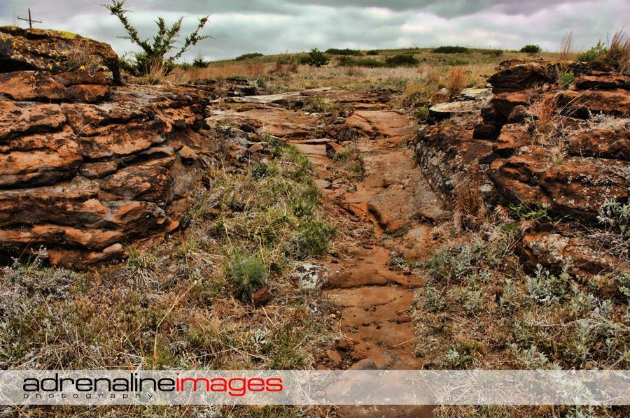 A rocky pathway surrounded by grass and sparse vegetation, leading through a rugged landscape under a cloudy sky. The ground is a mix of reddish-brown rocks and earth, with patches of green grass and small plants growing in the crevices. Switchgrass mountain bike trail.