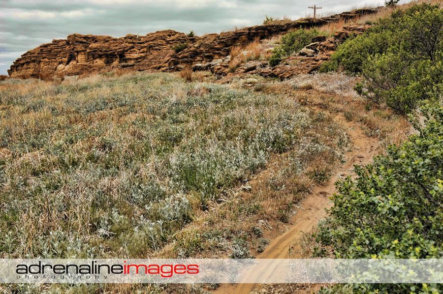 A winding dirt path leads through a grassy area with patches of dry vegetation, bordered by rocky cliffs under a cloudy sky. The scene captures a serene natural landscape, showcasing the textures of the earth and greenery. Switchgrass mountain bike trail.