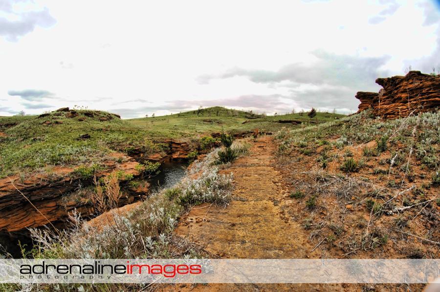 A scenic landscape featuring a rocky terrain with a small pathway winding through green grass and shrubs. The background includes a gentle slope leading to a hillside under a cloudy sky, showcasing natural geological formations. Switchgrass mountain bike trail.