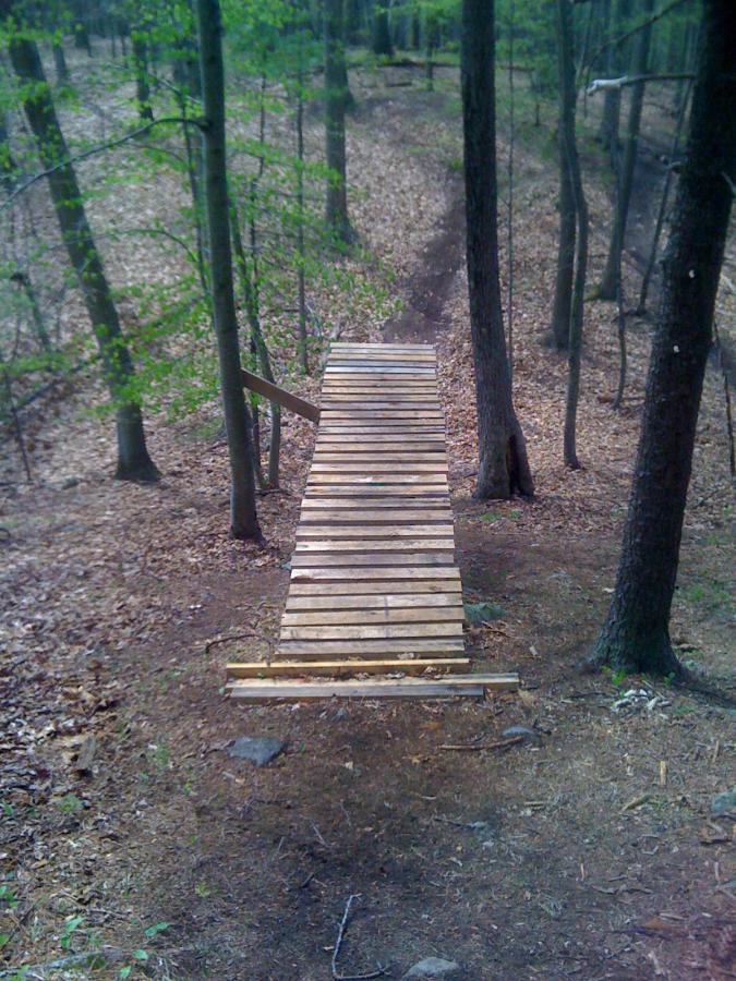 A wooden plank bridge spanning a narrow path in a forest, surrounded by trees and scattered leaves on the ground, leading toward an undefined destination. Willowdale Forest mountain bike trail.
