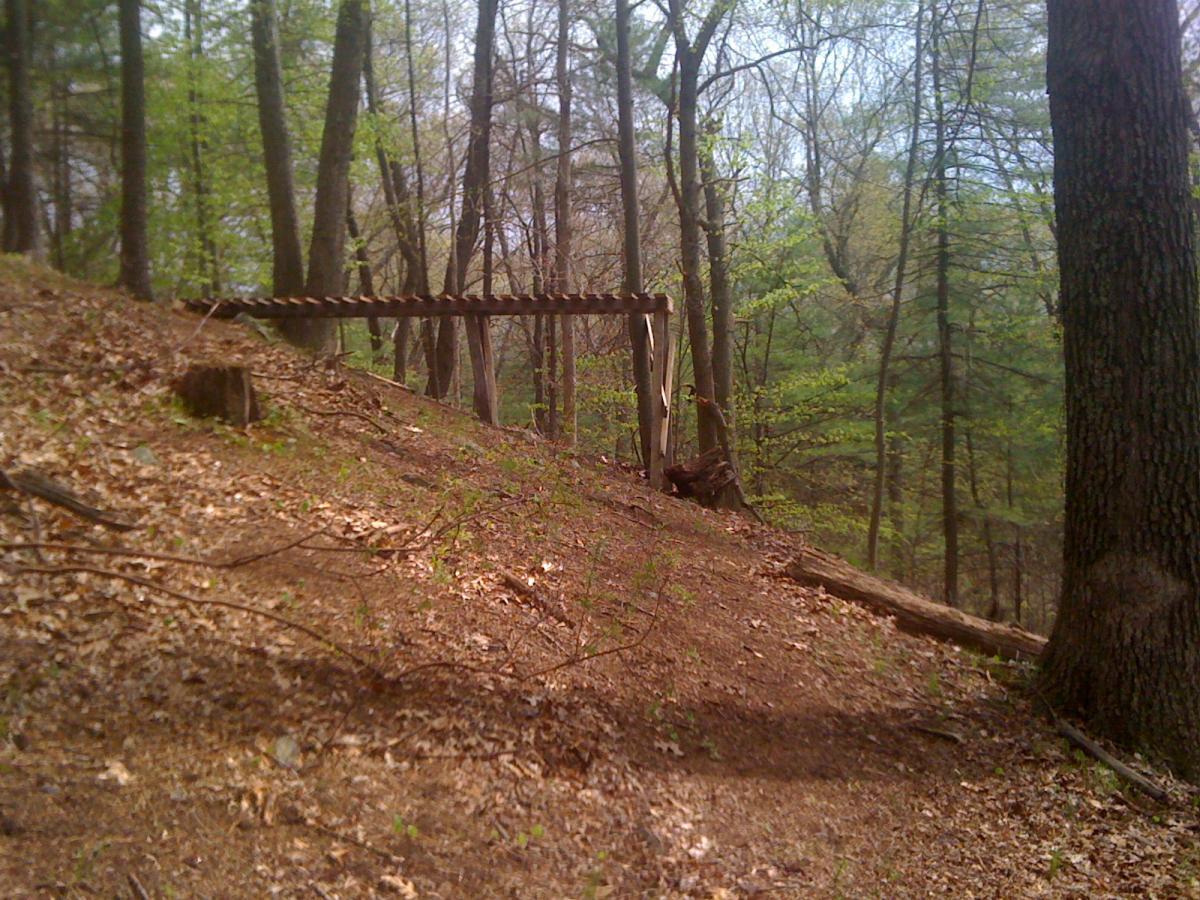 A wooden footbridge crosses a sloping forested area, surrounded by trees and fresh green leaves. The ground is covered with leaves and small branches, creating a natural woodland setting. Willowdale Forest mountain bike trail.