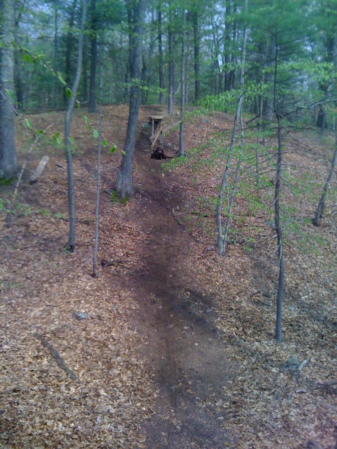 A dirt trail winding through a wooded area, surrounded by trees and fallen leaves. A wooden platform is visible at the top of the hill along the trail, suggesting potential for biking or hiking activities. Willowdale Forest mountain bike trail.