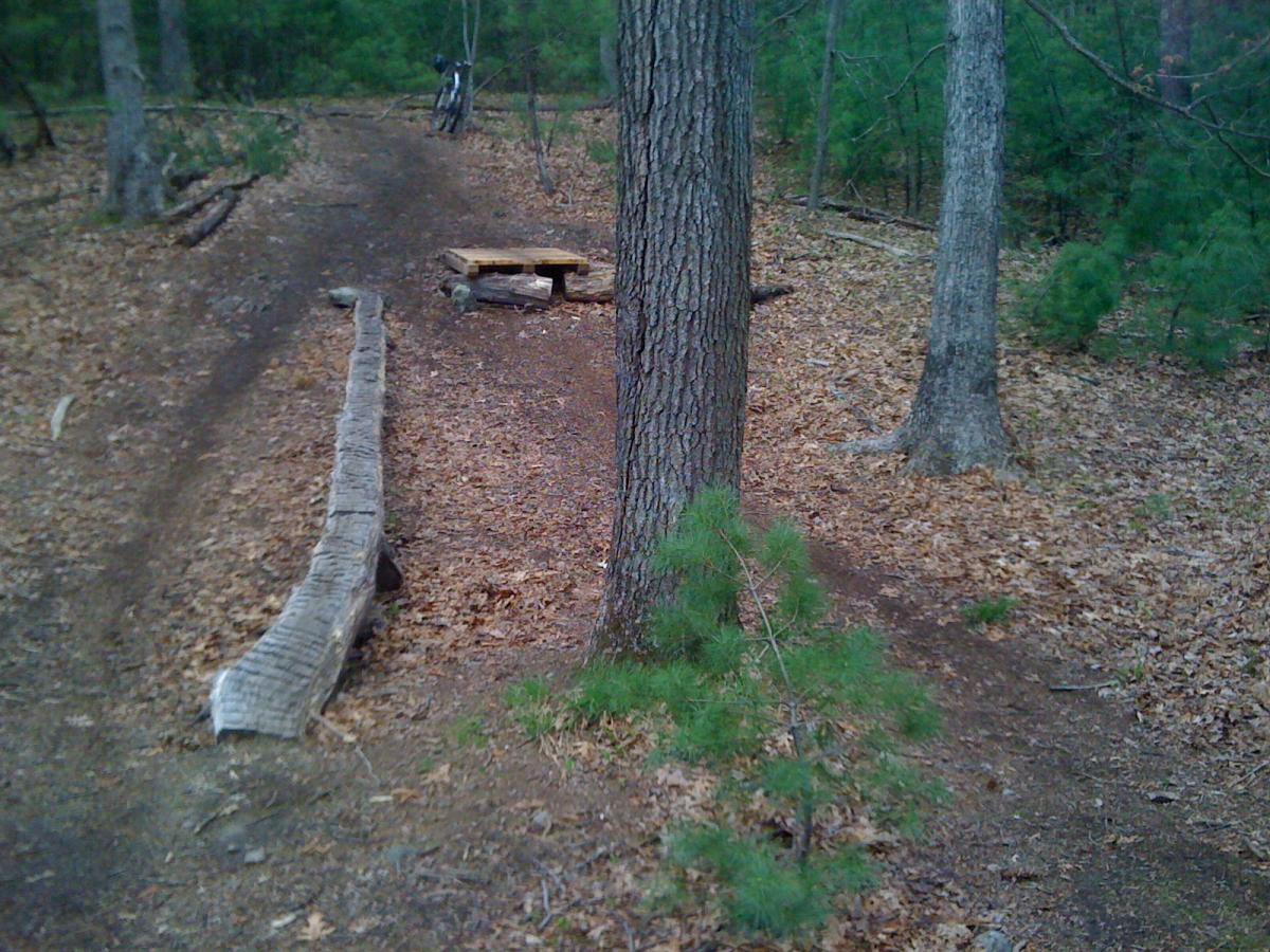 A dirt trail winding through a wooded area, featuring a fallen log on the left and a wooden bench near a tall tree. The ground is covered in brown leaves, with various green shrubs and trees in the background. A bicycle is visible in the distance along the path. Willowdale Forest mountain bike trail.