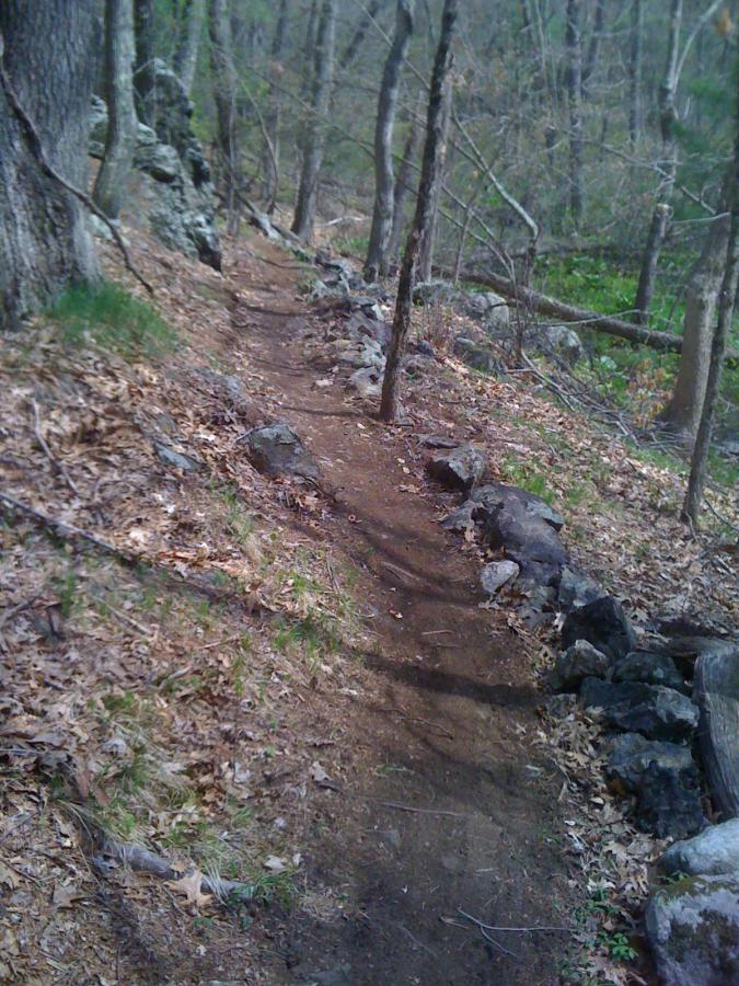 A narrow dirt pathway winding through a wooded area, bordered by rocks and trees. The ground is covered with fallen leaves and small patches of grass, creating a natural trail amid the greenery. Willowdale Forest mountain bike trail.