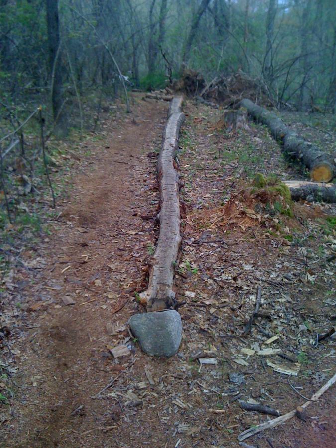 A narrow dirt path winding through a forest, with a long log positioned beside it and a smooth rock on the ground. The area is surrounded by trees and scattered foliage, suggesting a natural, wooded environment. Willowdale Forest mountain bike trail.