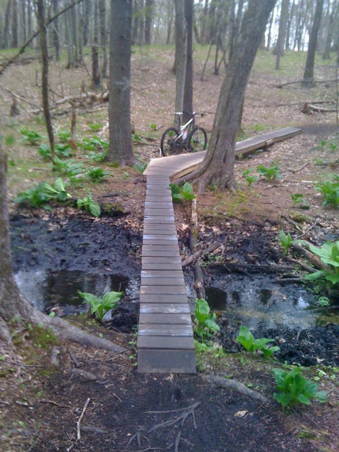 A narrow wooden bridge crosses over a small creek in a wooded area, with lush green foliage and trees visible around it. A bicycle is parked by the side of the bridge, indicating a recreational biking trail nearby. Willowdale Forest mountain bike trail.