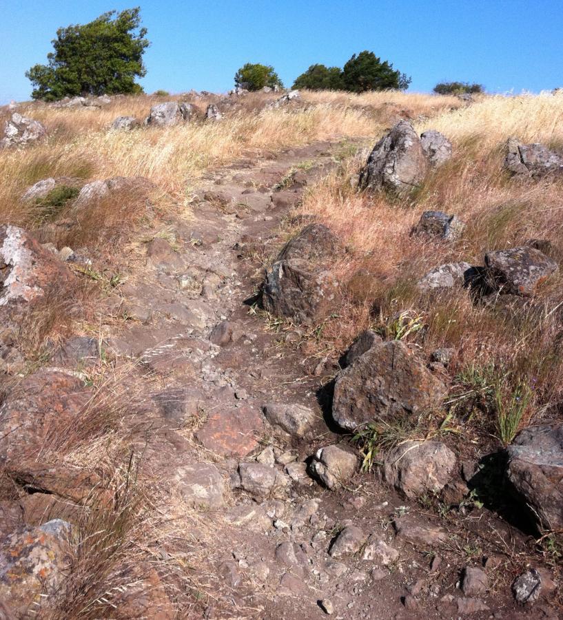 A rocky hiking trail winding through tall grasses and boulders under a clear blue sky. Santa Teresa Park mountain bike trail.