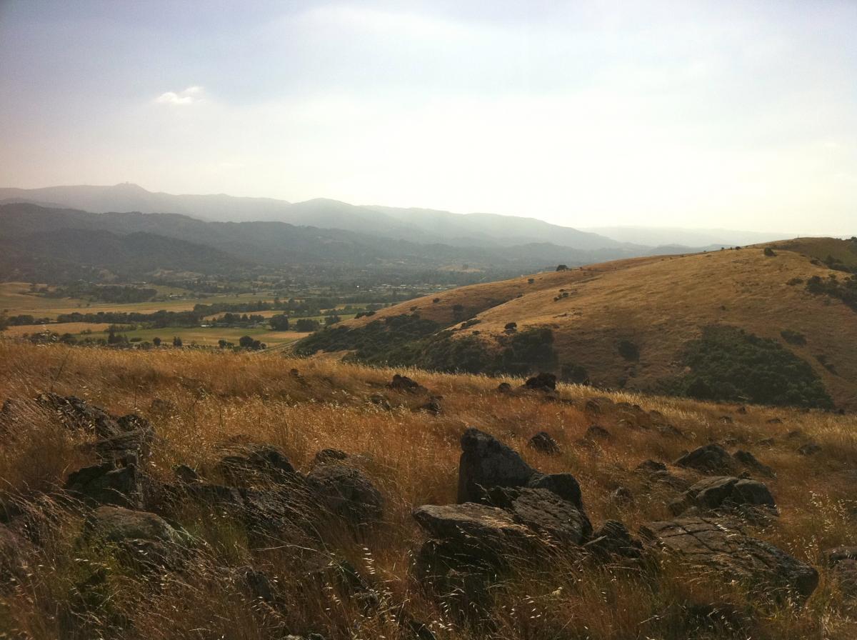 A scenic view of rolling hills and distant mountains under a hazy sky, with patches of grass and scattered rocks in the foreground. The landscape features a mix of greenery and open fields, suggesting a tranquil natural setting. Santa Teresa Park mountain bike trail.