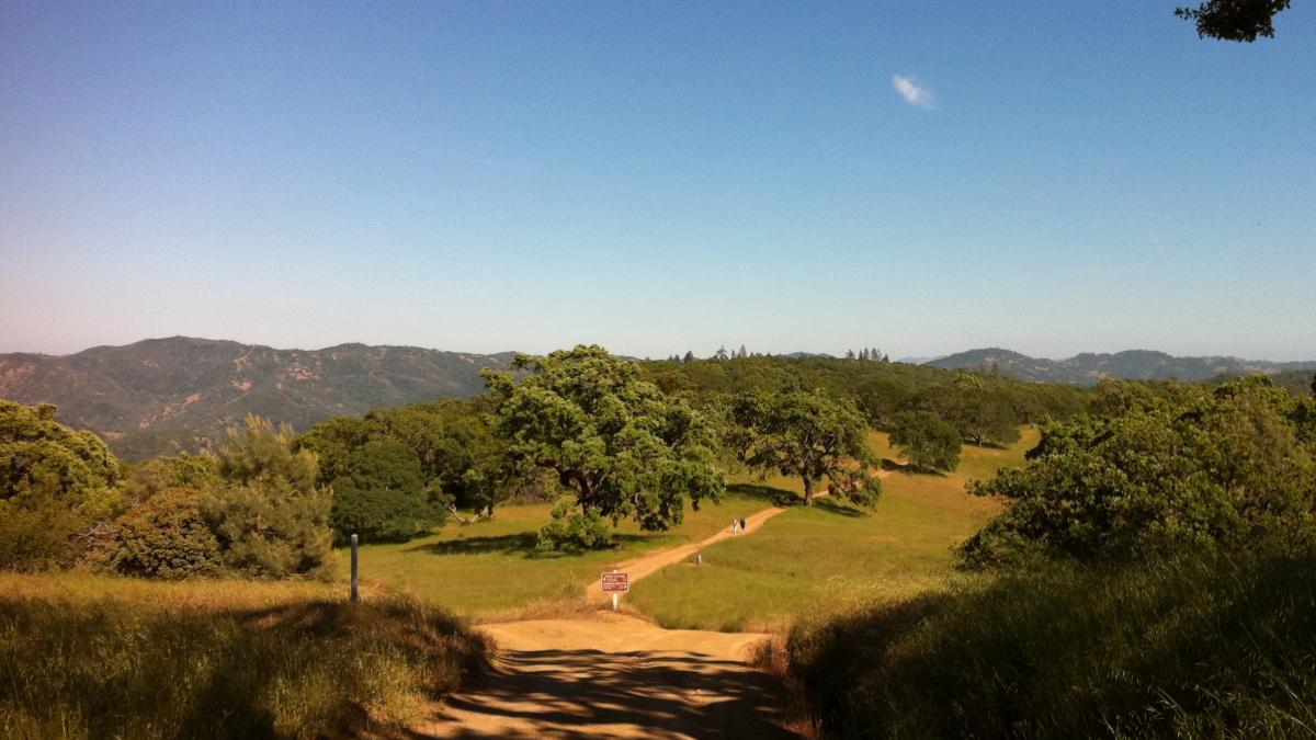 A scenic view of a grassy path leading into a lush green landscape, surrounded by trees and rolling hills under a clear blue sky. The background features distant mountains. Henry W. Coe State Park mountain bike trail.