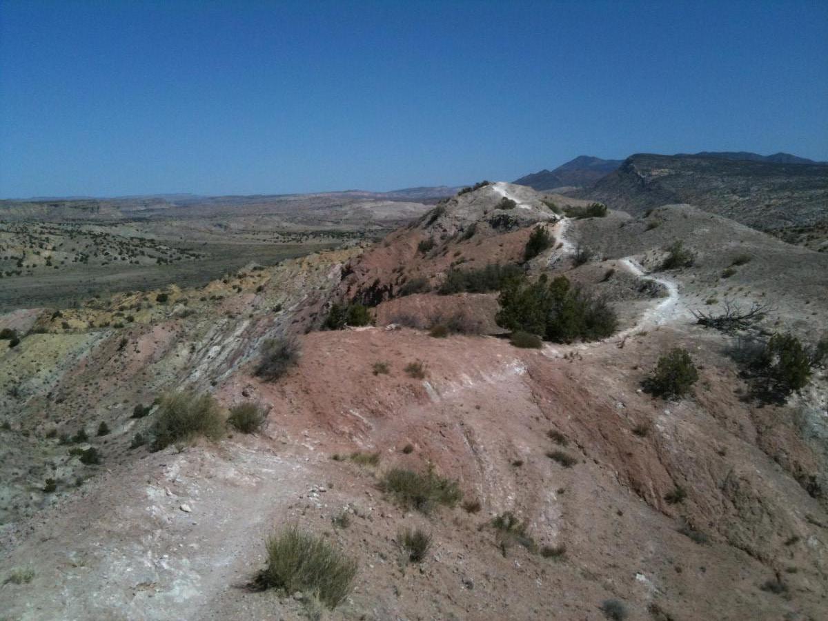 A panoramic view of a rugged landscape featuring rolling hills and ridges with earthy tones of pink, brown, and gray. Sparse vegetation, including low shrubs and grasses, dot the terrain under a clear blue sky. The distant mountains provide a backdrop to the undulating land. White Ridge Bike Trails mountain bike trail.