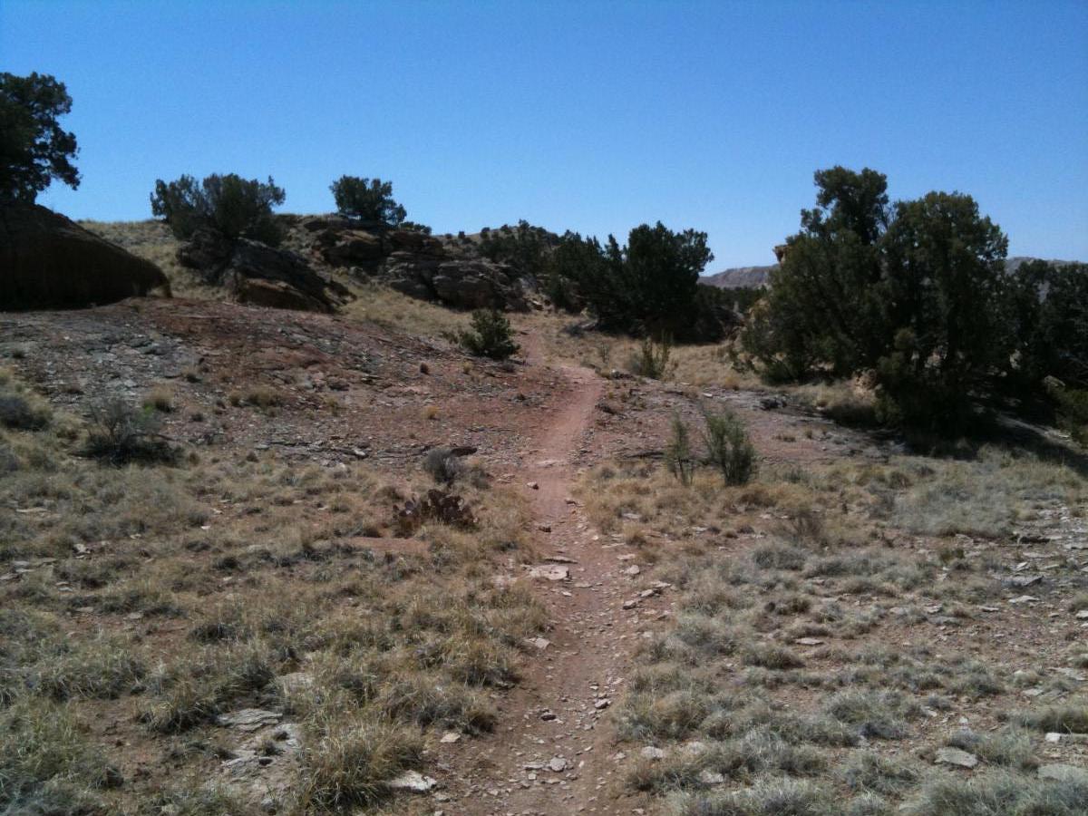 A dirt path winding through a dry landscape with sparse vegetation, rocky terrain, and scattered trees under a clear blue sky. White Ridge Bike Trails mountain bike trail.