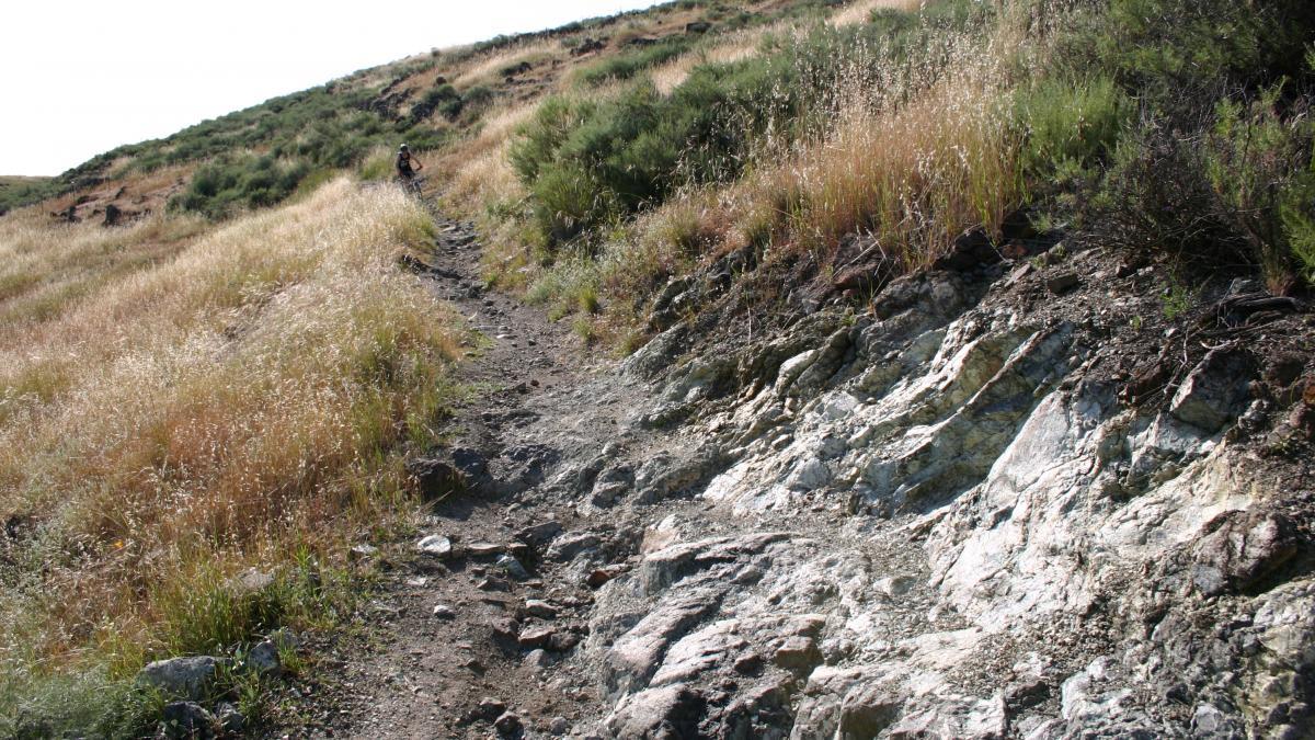 A rocky dirt trail winding through tall grasses and shrubs on a hillside under a clear sky. Santa Teresa Park mountain bike trail.