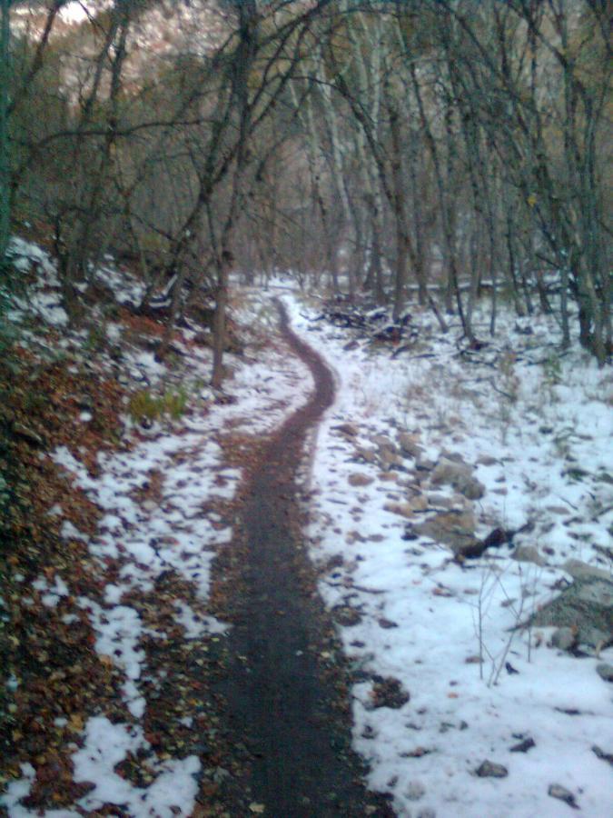 A winding dirt trail leads through a wooded area, with snow partially covering the ground and scattered leaves on the path. Bare trees arch overhead, creating a natural canopy. Green Canyon mountain bike trail.