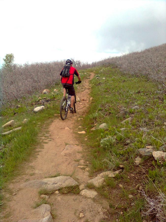A person riding a mountain bike along a dirt trail on a hillside, surrounded by sparse vegetation and rocks. The cyclist is wearing a red shirt and black shorts, with a backpack and helmet, approaching an upward incline under a cloudy sky. Bonneville Shoreline Trail - Ogden Section mountain bike trail.