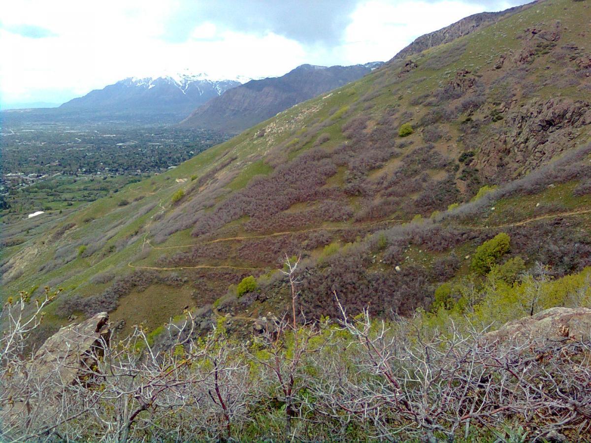 A panoramic view of a mountainous landscape featuring rolling green hills and rocky terrain, with patches of brown shrubbery. In the background, snow-capped peaks are visible under a cloudy sky, while a valley filled with greenery stretches out below. Bonneville Shoreline Trail - Ogden Section mountain bike trail.