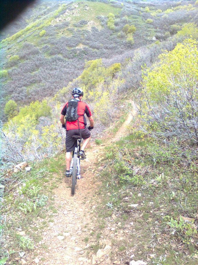 A mountain biker wearing a red shirt and a helmet rides up a narrow dirt trail surrounded by green shrubbery and hills. The background features a lush, green landscape with a slight incline. Bonneville Shoreline Trail - Ogden Section mountain bike trail.