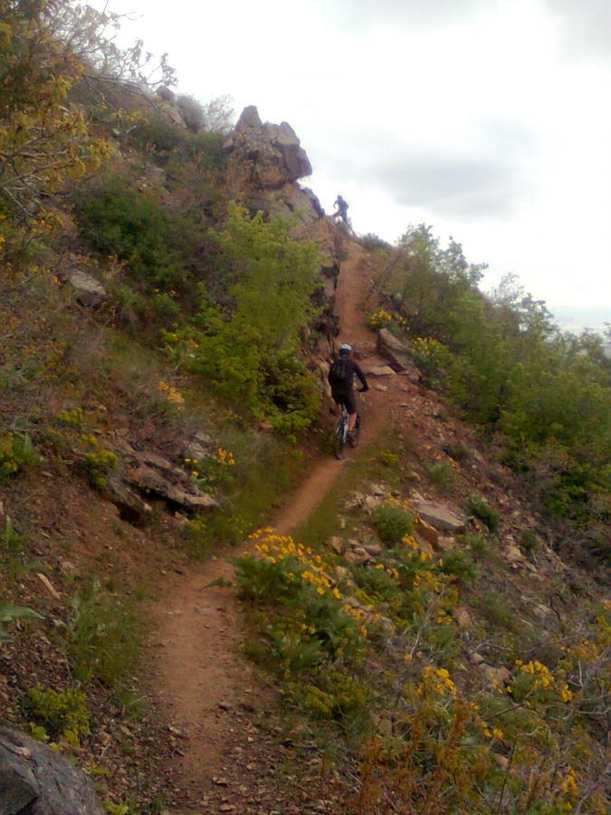 A mountain biker navigates a narrow, winding dirt trail surrounded by greenery and wildflowers, with rocky terrain and a cloudy sky in the background. Bonneville Shoreline Trail - Ogden Section mountain bike trail.