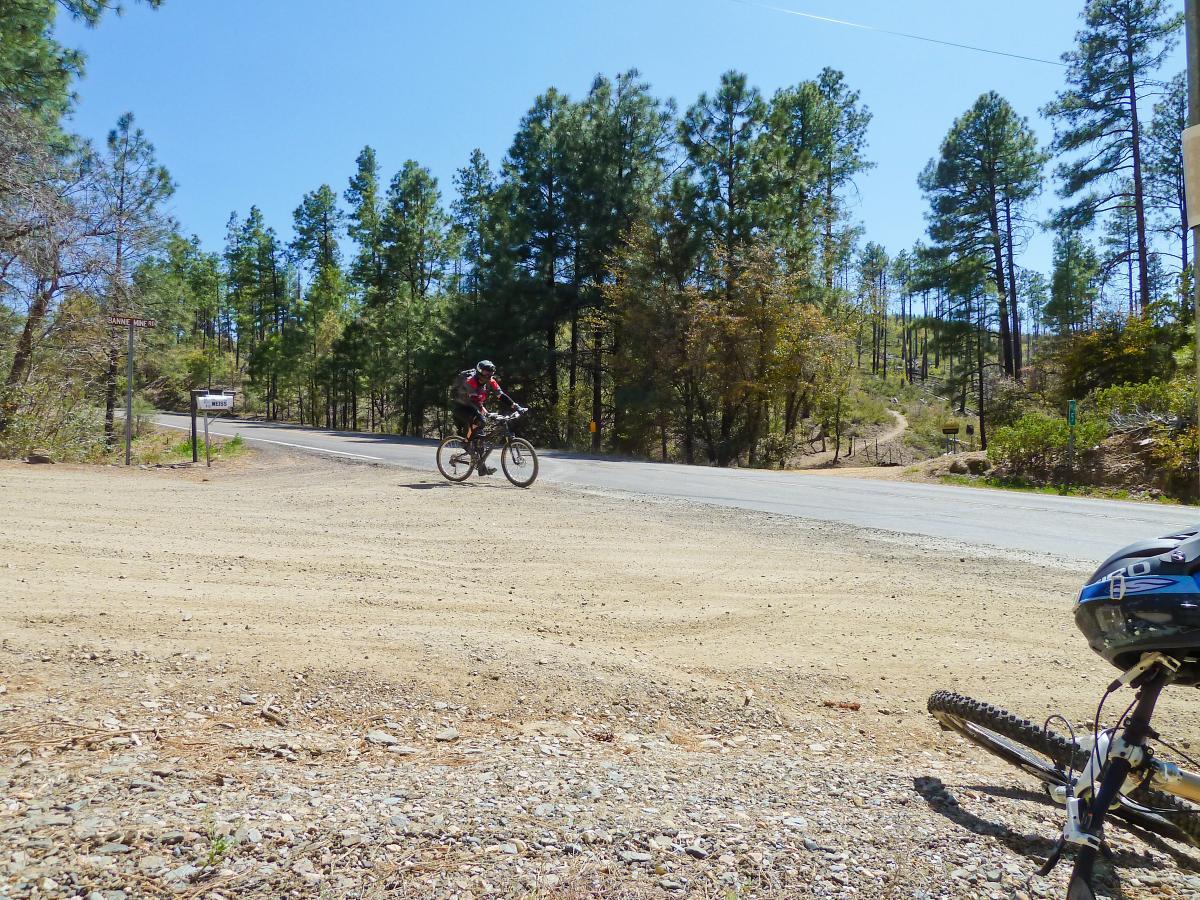 A cyclist in a red shirt and helmet rides along a dirt road that leads to a paved road, surrounded by dense green pine trees. In the foreground, a bicycle is resting on the ground. Road signs indicate directions at the intersection. The scene is set under a clear blue sky. Trail #305 mountain bike trail.