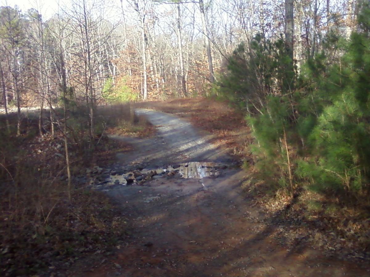 A winding dirt path surrounded by trees, with a small puddle and rocks in the foreground, and bare branches above, indicating a forested area during late autumn. Sope Creek mountain bike trail.