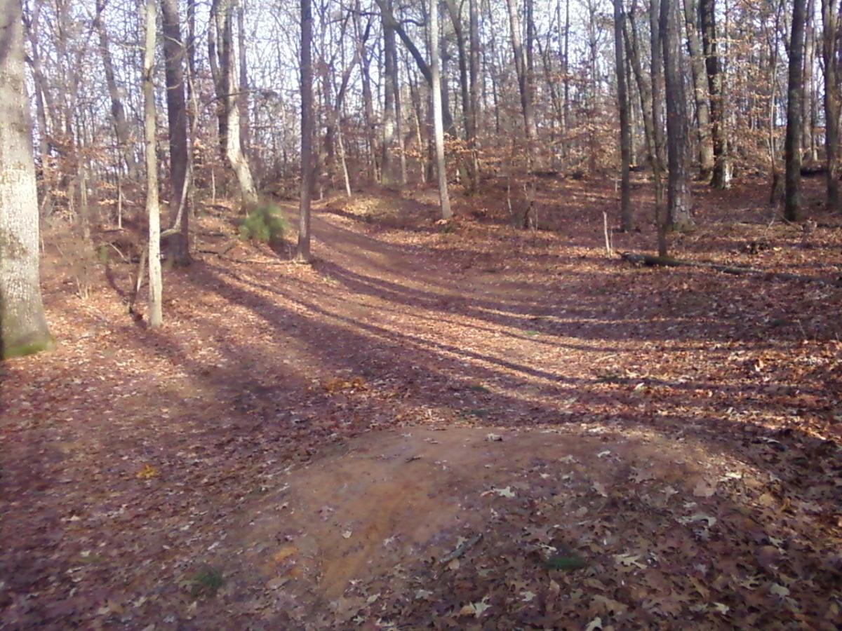 A wooded pathway covered with fallen autumn leaves, curving gently to the right. Tall trees with sparse foliage surround the trail, casting long shadows on the ground. In the foreground, a mound of dirt is visible, suggesting a potential bike jump or obstacle on the trail. Sope Creek mountain bike trail.