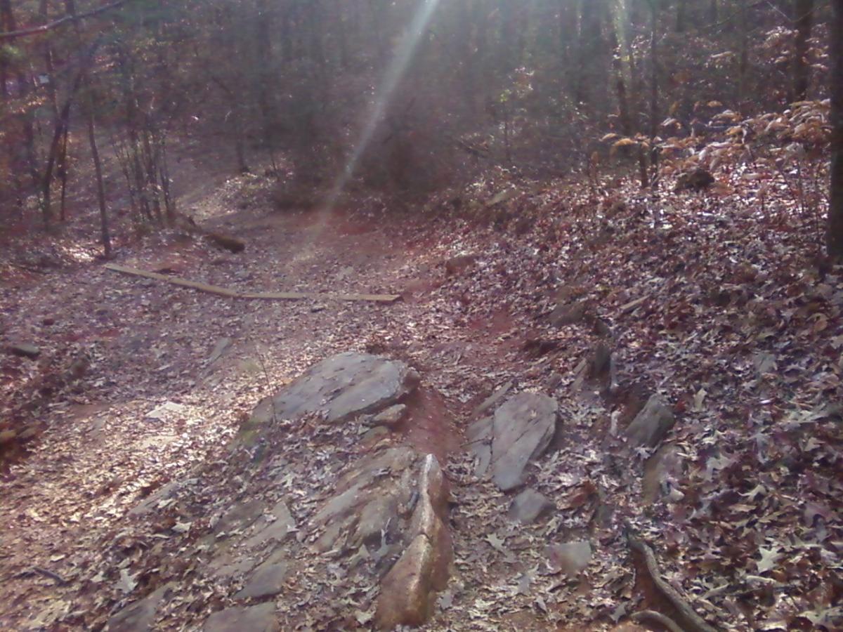A narrow, winding trail surrounded by trees in a wooded area, with a mix of rocks and fallen leaves on the ground. Soft sunlight filters through the branches, illuminating parts of the path. Sope Creek mountain bike trail.