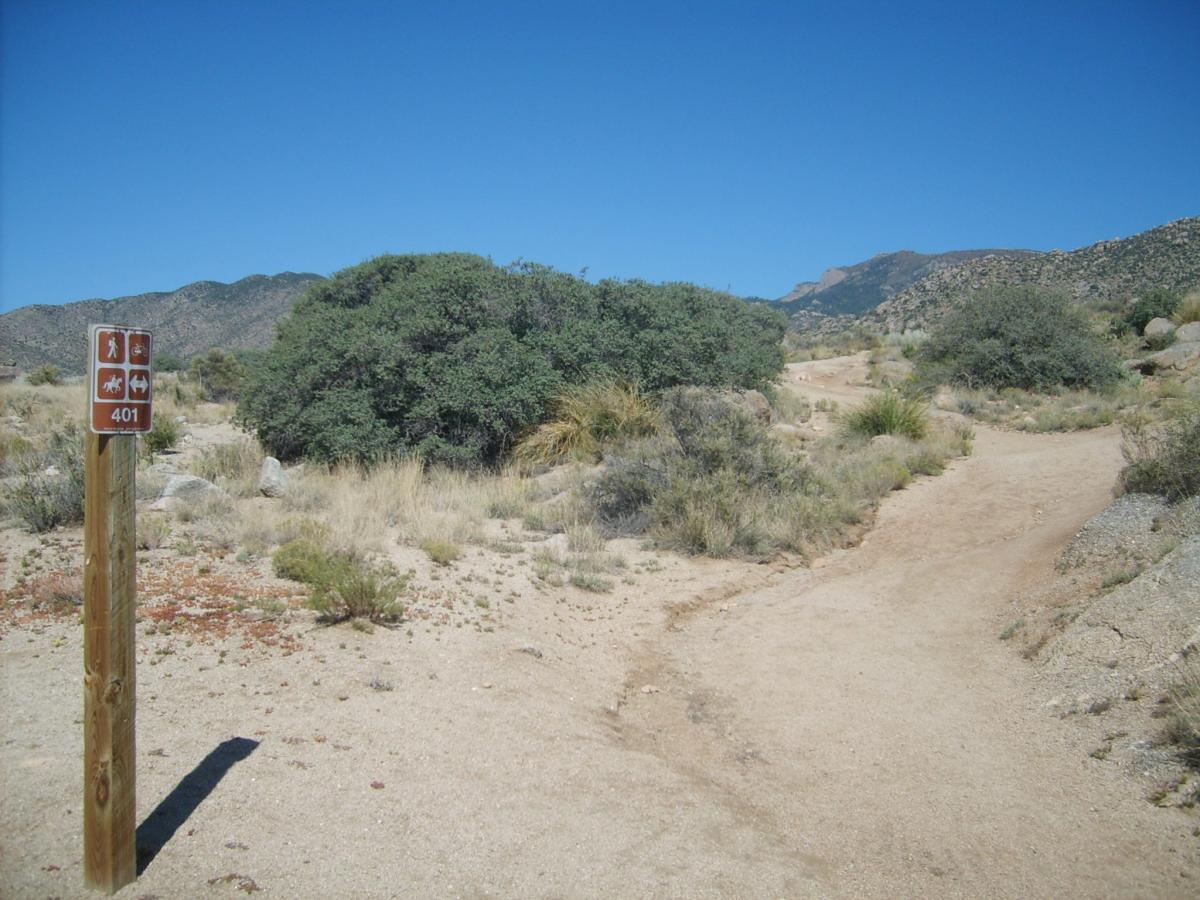 A dirt trail leading through a sandy landscape, flanked by shrubs and rocks, with a signpost indicating trail information. The sky is clear and blue, and mountains are visible in the background. South Foothills mountain bike trail.