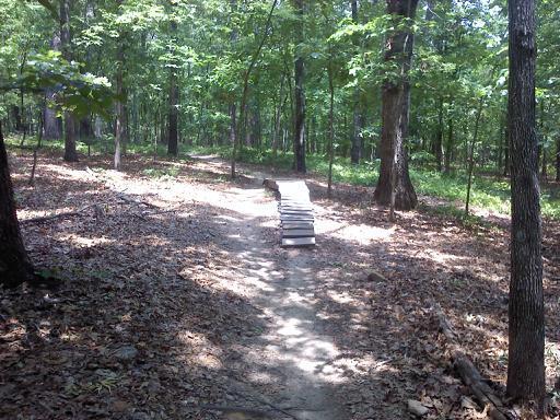A narrow dirt path in a wooded area, featuring a wooden ramp made of planks. Sunlight filters through the trees, casting dappled shadows on the ground, which is covered in fallen leaves. The surroundings include various trees and greenery typical of a forest environment. Big Creek mountain bike trail.