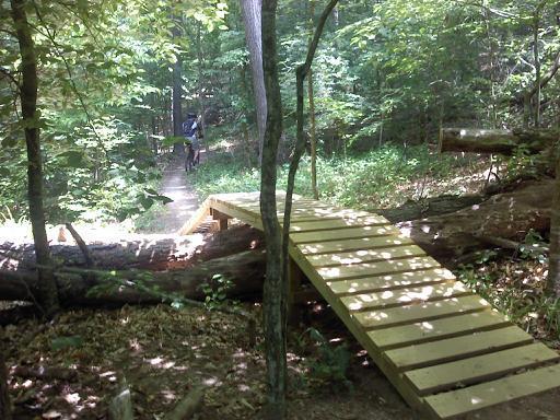A wooden bridge crossing over a fallen tree in a lush forest, with dappled sunlight filtering through the greenery. A person can be seen biking on a trail in the background. Big Creek mountain bike trail.