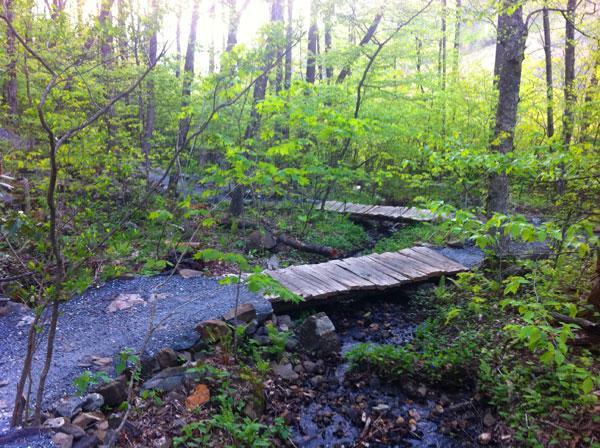 A serene woodland scene featuring a wooden bridge crossing over a small stream. The area is surrounded by lush green foliage and trees, with sunlight filtering through the leaves, creating a peaceful natural setting. Rocky Knob Park mountain bike trail.