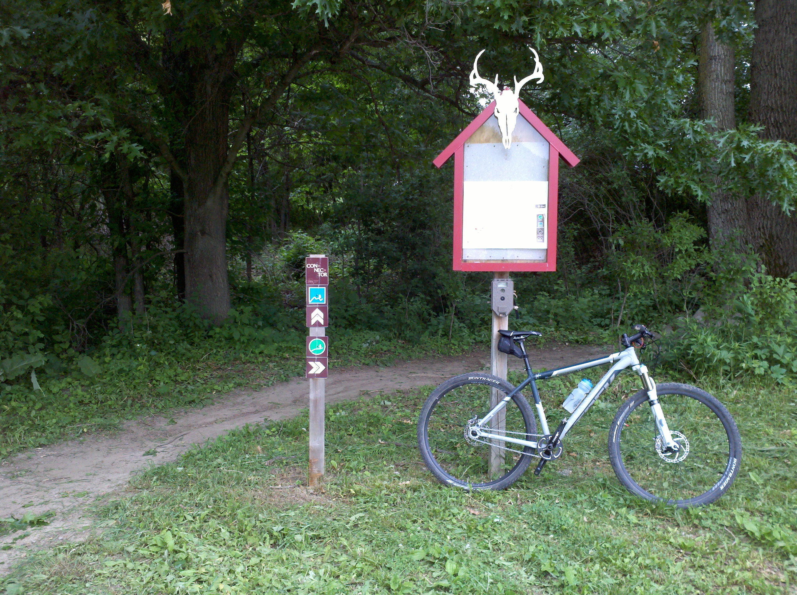 A mountain bike parked next to a trail sign and a wooden bulletin board with a decorative skull mounted above it, surrounded by lush greenery and trees. A dirt path winds away from the sign into the forest.
