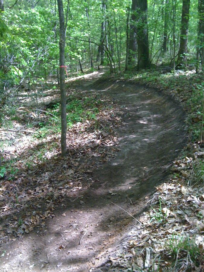 A winding dirt trail surrounded by green foliage and trees in a forested area, with fallen leaves on the ground and a pink marker on a nearby tree. Kit Mcconnico Lost Arrow mountain bike trail.