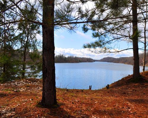 A scenic view of a tranquil lake surrounded by trees, with a clear blue sky and fluffy clouds in the background. Pine trees in the foreground frame the lake, which reflects the sky, creating a peaceful natural atmosphere. Cuyuna Lakes mountain bike trail.