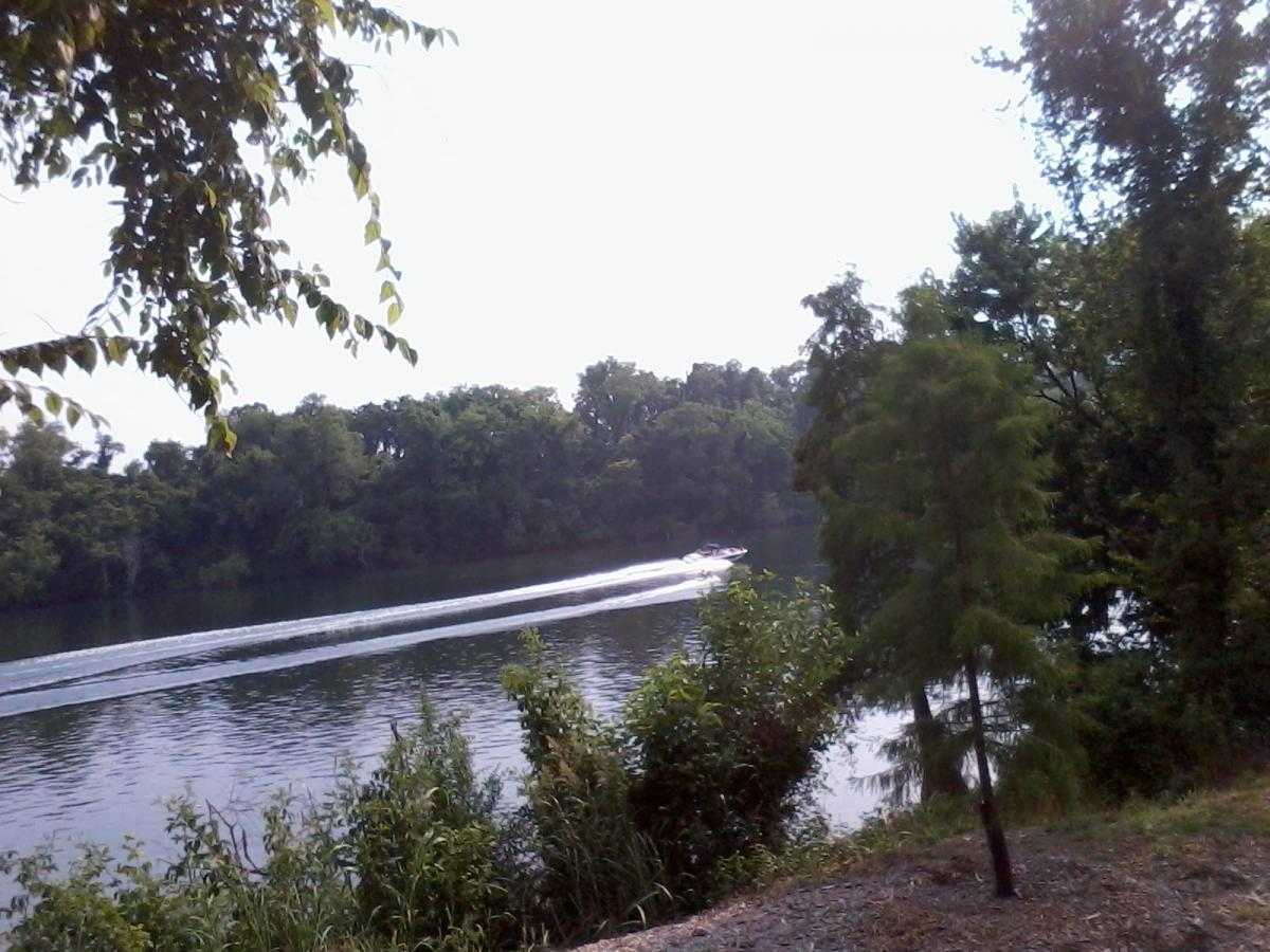 A motorboat gliding across a calm, reflective river surrounded by lush, green trees on either side, with gentle ripples in the water. The scene is bright and sunny, emphasizing the tranquility of the natural setting. North Augusta Greeneway mountain bike trail.