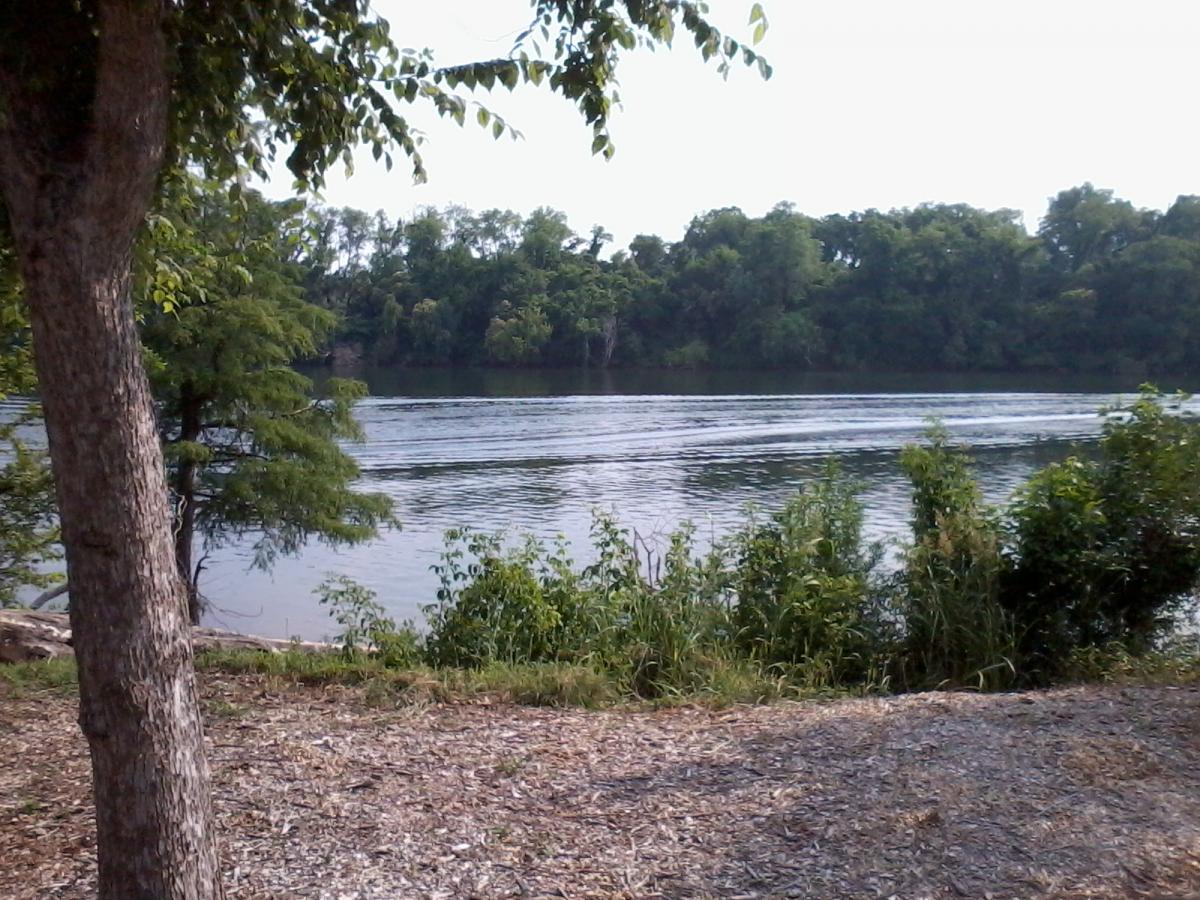 A serene river scene featuring calm waters reflecting the greenery along the banks. The foreground includes a tree trunk and shrubs, while lush trees line the opposite shore, creating a peaceful natural setting. North Augusta Greeneway mountain bike trail.