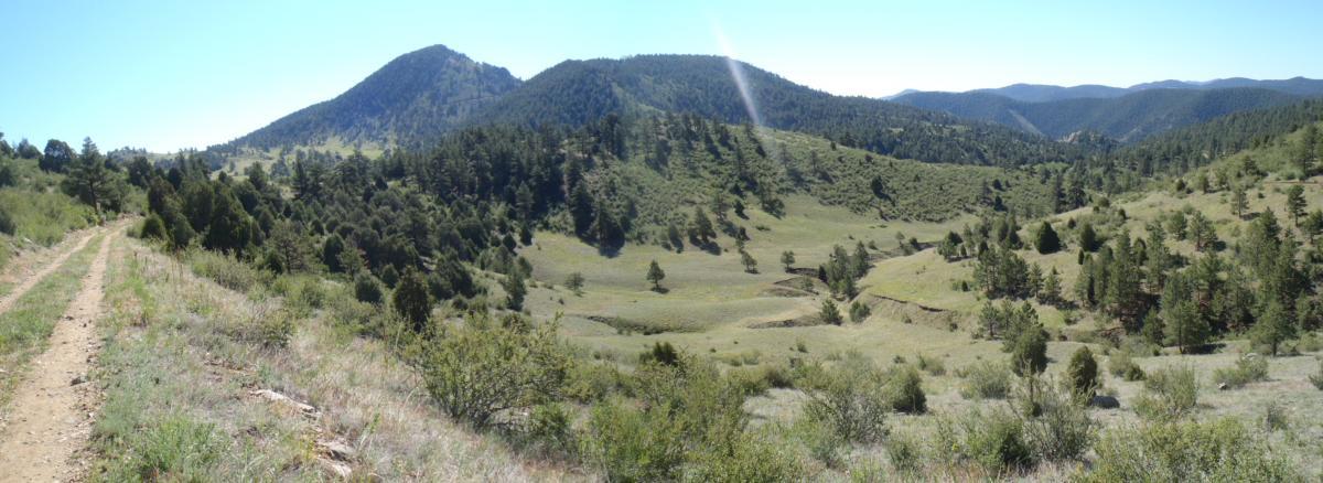 A panoramic view of a mountainous landscape featuring rolling hills covered in green vegetation, scattered trees, and a dirt path winding through the foreground. The scene is illuminated by bright sunlight, showcasing the natural beauty of the area. Centennial Cone Park mountain bike trail.