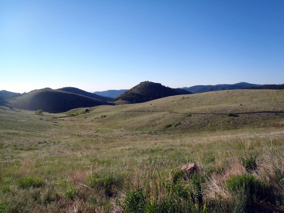 A scenic landscape featuring rolling hills and grassy fields under a clear blue sky, with distant mountains visible in the background. Centennial Cone Park mountain bike trail.