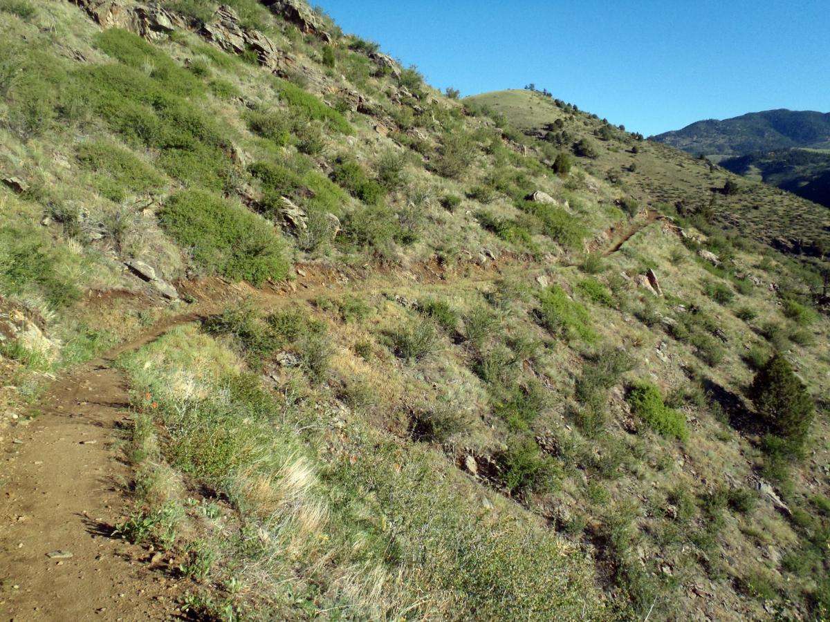 A winding dirt trail curves along a grassy hillside, surrounded by small shrubs and rocky outcrops, under a clear blue sky. Mountains are visible in the background, creating a picturesque outdoor scene. Centennial Cone Park mountain bike trail.