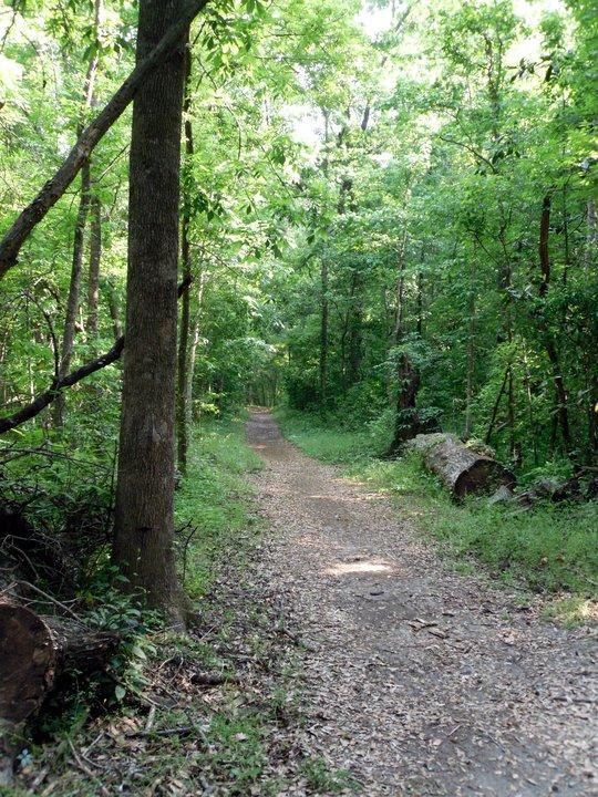 A serene dirt path winding through a lush, green forest, lined with trees and scattered with fallen leaves. Sunlight filters through the foliage, creating a tranquil atmosphere. Tom Brown / Lafayette Heritage Park mountain bike trail.