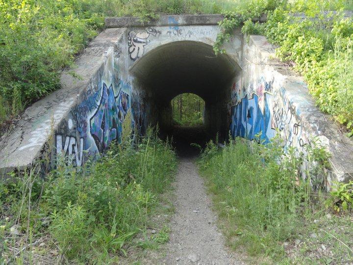 A stone archway tunnel covered in colorful graffiti, surrounded by lush greenery and tall grass. A narrow dirt path leads into the tunnel, which disappears into shadows. The scene captures a blend of urban art and natural surroundings. Cutler Park mountain bike trail.