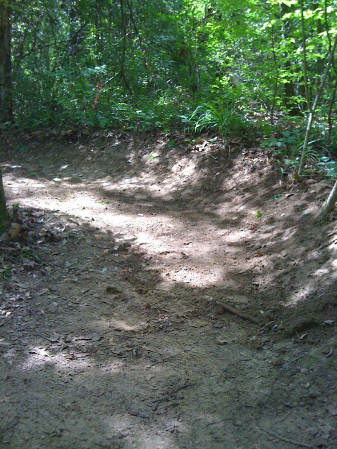 A winding dirt path through a lush green forest, surrounded by trees and underbrush. Sunlight filters through the leaves, casting dappled shadows on the soft, bare ground. The path is well-defined but rustic, indicating a space frequented by hikers or nature enthusiasts. Kit Mcconnico Lost Arrow mountain bike trail.