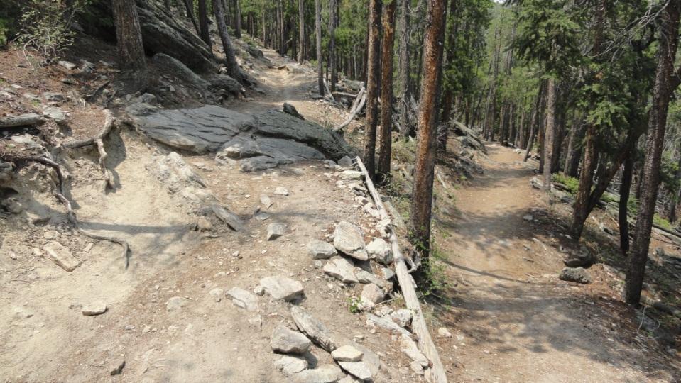 A rocky hiking trail diverging into two paths, surrounded by tall trees and natural vegetation. Sunlight filters through the foliage, casting shadows on the ground. Bergen Peak mountain bike trail.