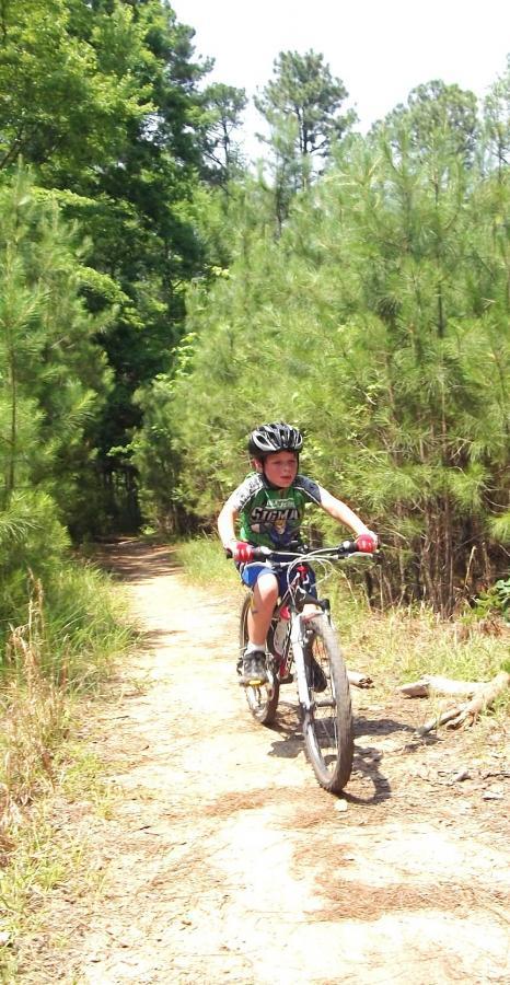 A young child wearing a helmet is riding a bicycle along a dirt path surrounded by tall trees and greenery. The sunlight illuminates the scene, showcasing a summer day in a natural setting. Harbison State Forest mountain bike trail.