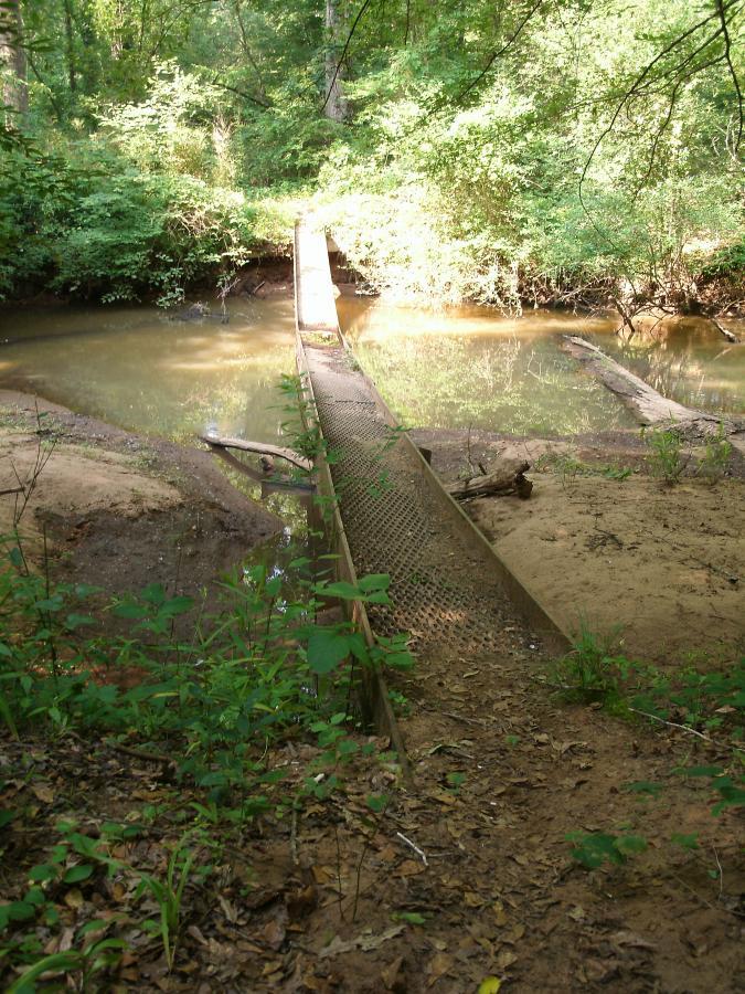 A narrow, metal mesh bridge spanning a small, muddy creek, surrounded by lush greenery and dense trees. The sunlight filters through the foliage, illuminating the tranquil scene. Long Cane Horse Trail mountain bike trail.