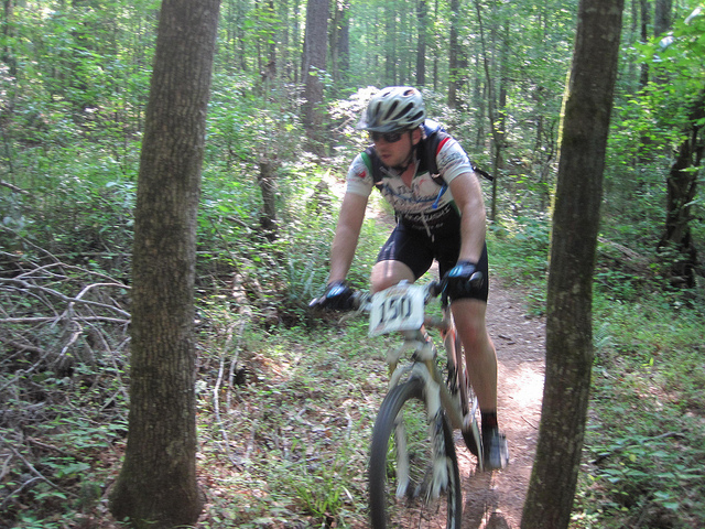 A mountain biker is riding on a narrow dirt trail through a dense forest, surrounded by tall trees and greenery. The rider is wearing a helmet and a cycling jersey, with a number tag displayed on the front. The image captures the biker in motion, emphasizing the dynamic nature of the ride.